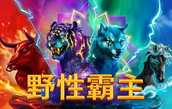 中欧体育官网截图3