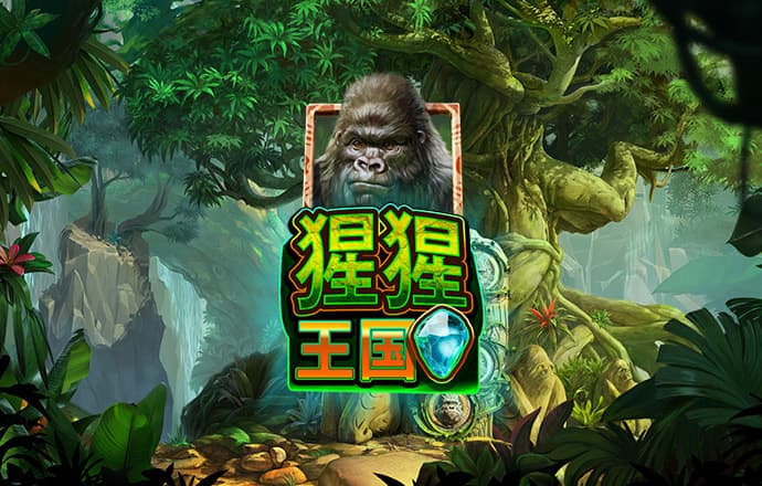 开元ky棋牌全部版本官网版下载截图0